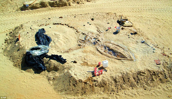 Picture 1 of Detecting graveyards of 75 whales in the desert