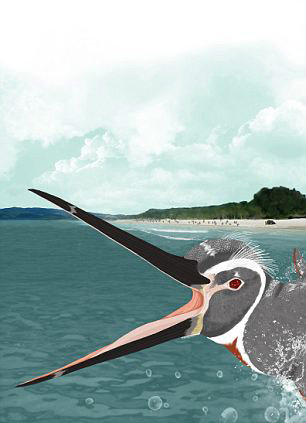 Picture 1 of Detecting high penguins like ... people