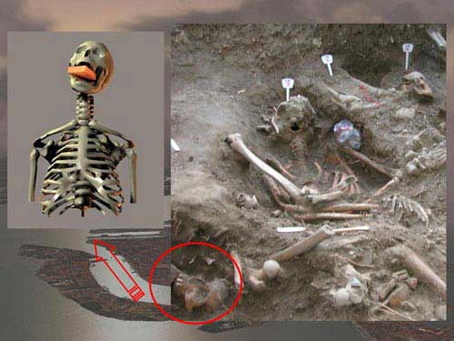 Picture 2 of Detecting medieval skulls