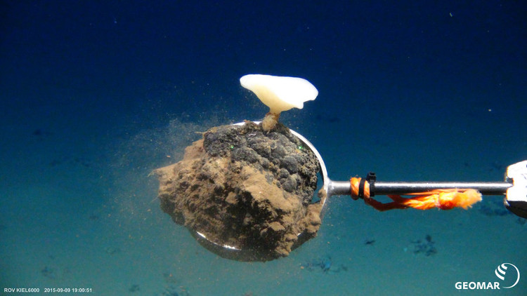 Picture 1 of Detecting precious material mines used as solar cells under the seabed