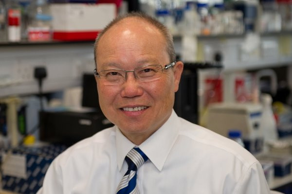 Picture 2 of Detecting protein can reverse Alzheimer's symptoms