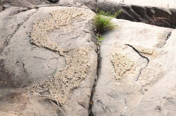 Picture 1 of Detecting stone slabs emerging images of Vietnam map