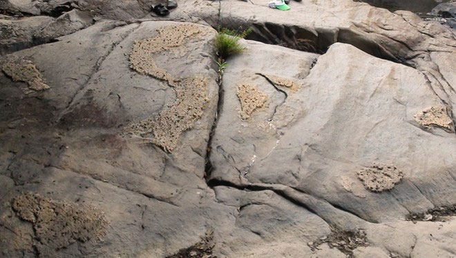 Picture 2 of Detecting stone slabs emerging images of Vietnam map