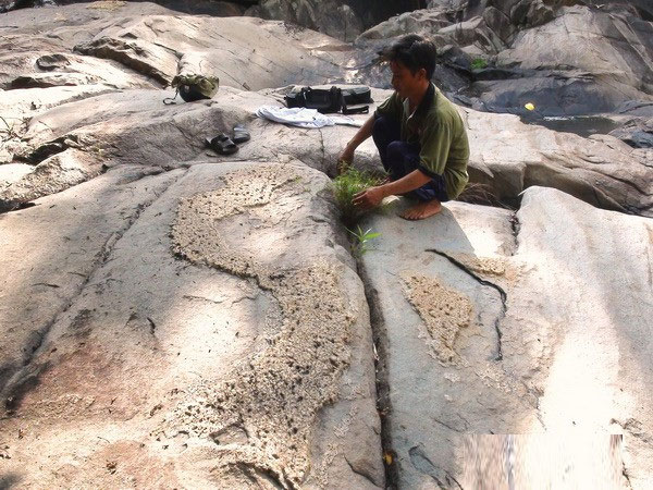 Picture 4 of Detecting stone slabs emerging images of Vietnam map