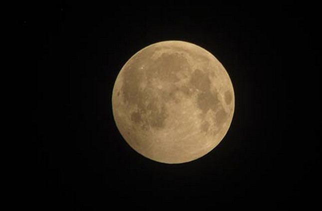 Picture 3 of Detecting strange objects in the image of 'moon bear' in Hanoi