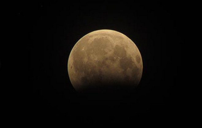 Picture 4 of Detecting strange objects in the image of 'moon bear' in Hanoi