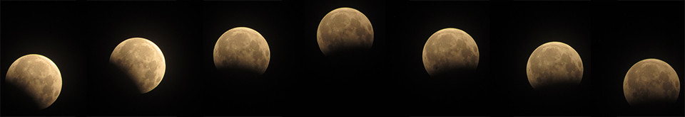 Picture 5 of Detecting strange objects in the image of 'moon bear' in Hanoi