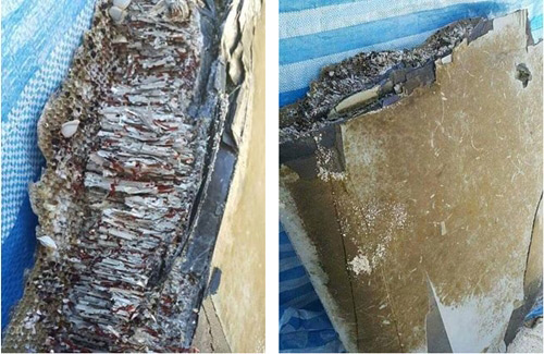Picture 1 of Detecting suspected aircraft fragments of MH370 in Maldives