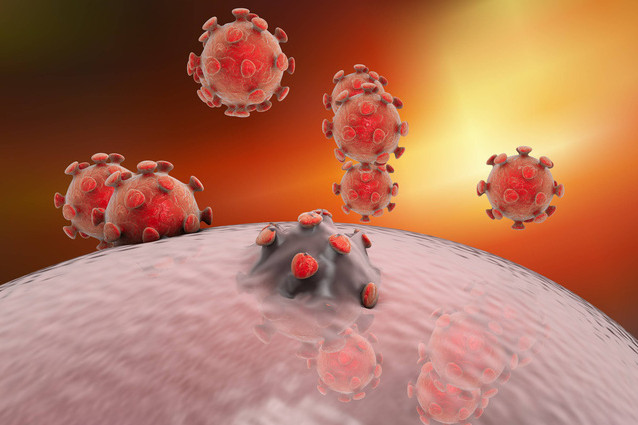 Picture 2 of Detecting the 'brother' virus strain of hepatitis C virus