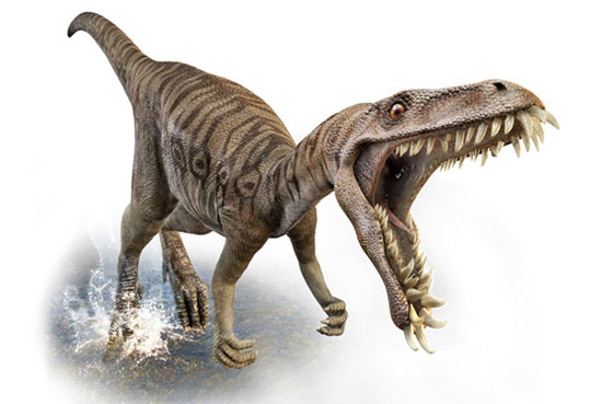 Picture 1 of Detecting the first individual cavities dinosaurs