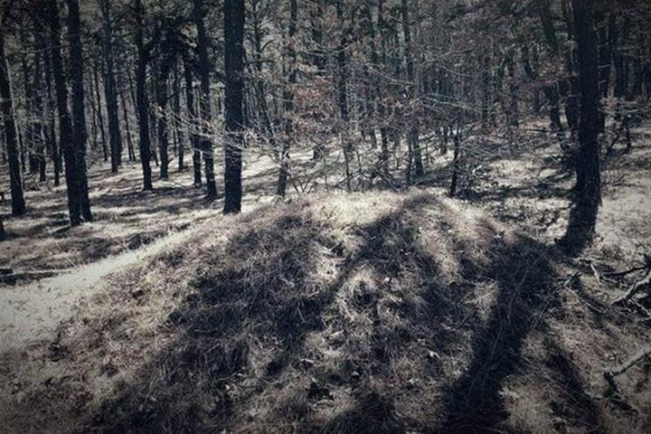 Picture 1 of Detecting the remains of the 18th century Caribbean Caribbean pirates