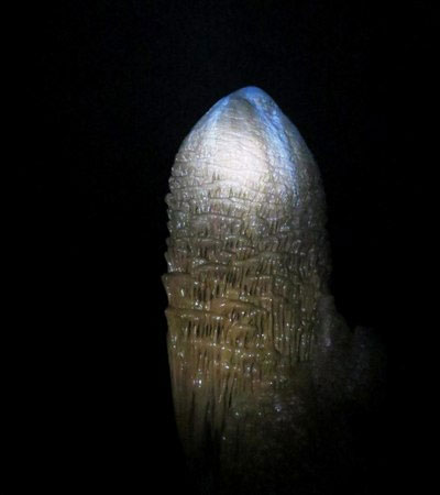 Picture 1 of Detecting the stalactite block 'unique' in Phong Nha cave