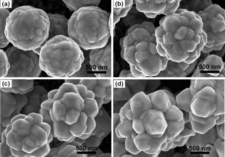 Picture 2 of Detecting toxins in food after 10 minutes thanks to nano silver