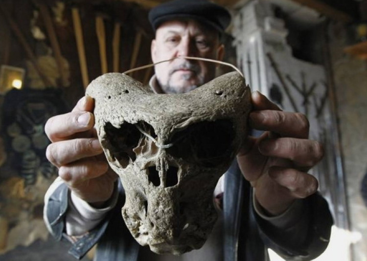 Detecting two mysterious skulls of aliens images 3