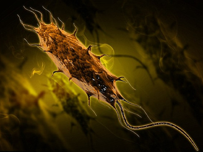 Picture 1 of Detecting weaknesses can help kill drug-resistant viruses