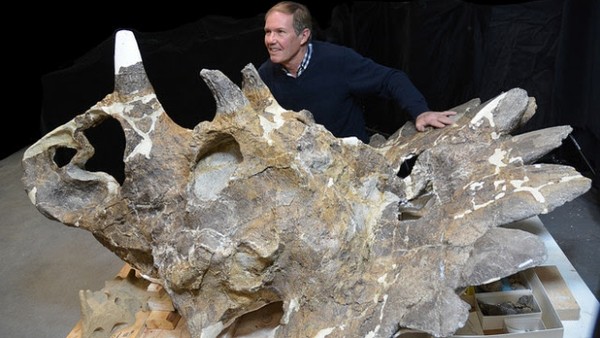 Picture 2 of Detecting weird dinosaur fossils in Canada