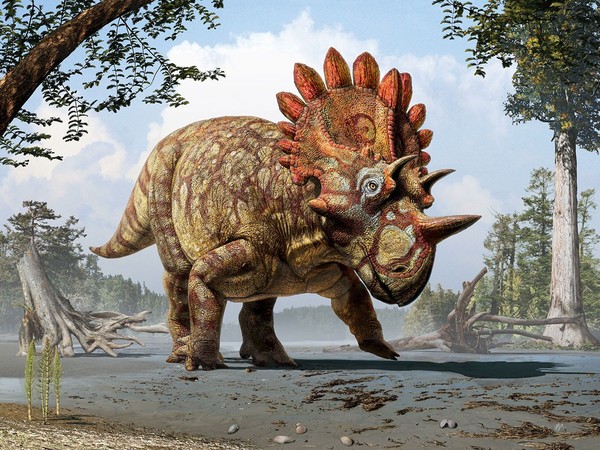 Picture 3 of Detecting weird dinosaur fossils in Canada