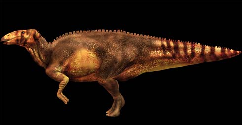 Picture 2 of Detection of 67 million-year-old dinosaur fossils