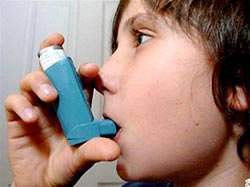 Picture 2 of Detection of genes involved in asthma in children