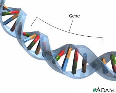 Picture 1 of Detection of genes that pose a risk of schizophrenia