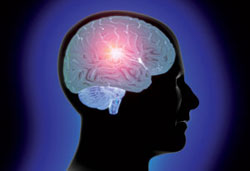 Picture 1 of Detection of genes that regulate brain aging