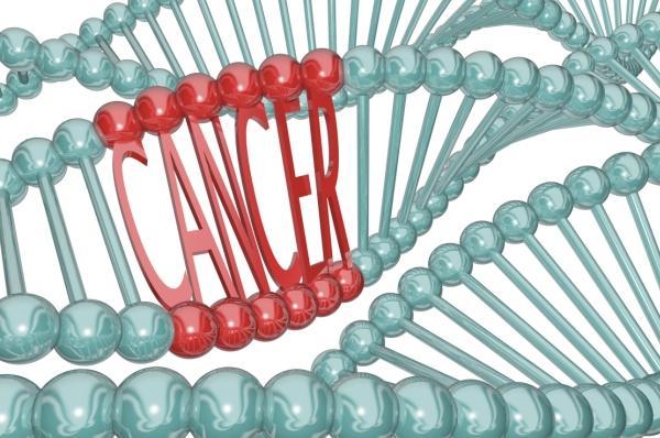 Detection of new breast cancer gene