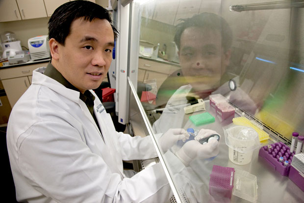 Picture 1 of Detection of new viruses that cause dengue