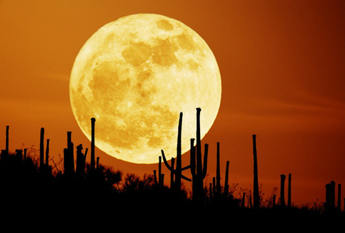 Picture 1 of Detection of radioactive material on the moon