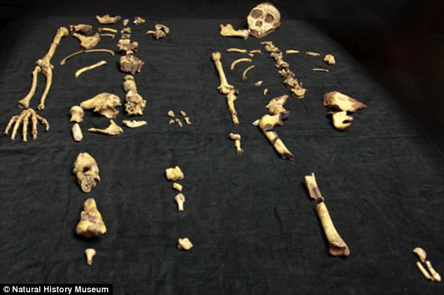 Picture 1 of Detection of skin with skin 1.9 million years