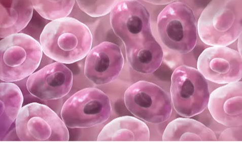 Picture 1 of Detects 8 types of viruses that cause cervical cancer