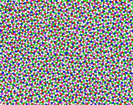 Picture 1 of Detects strange material state in chicken eyes