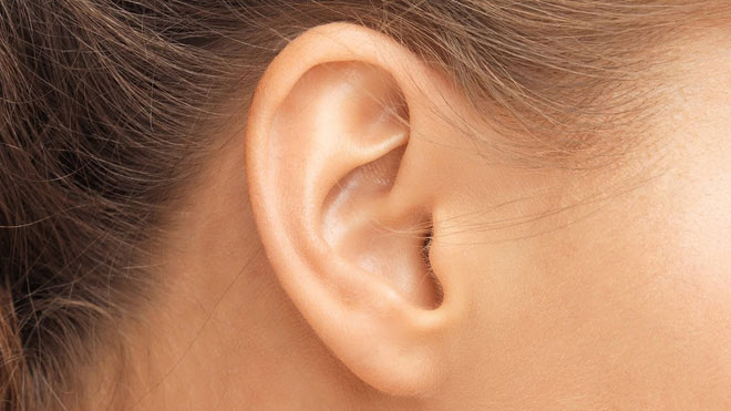Picture 2 of Determining the type of protein can help people with hearing loss hear back to normal