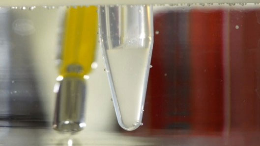 Picture 1 of Development of a gel that supports bone regeneration
