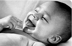 Picture 2 of Diagnosis of embryonic disease