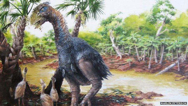 Picture 2 of DIatryma giants are not carnivores