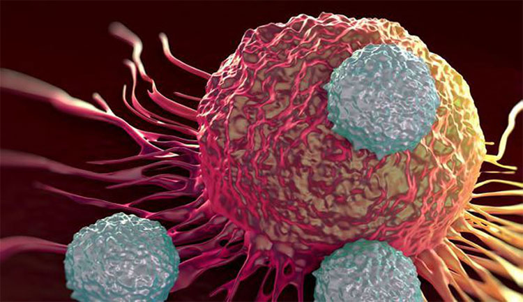 Picture 1 of Did we come close to cancer medicine?
