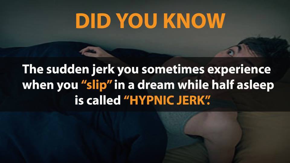 Picture 12 of Did you know 17 funny facts that the whole world knows about?