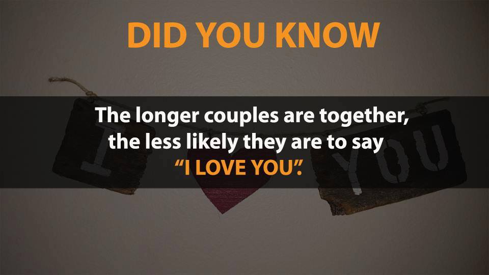Picture 13 of Did you know 17 funny facts that the whole world knows about?