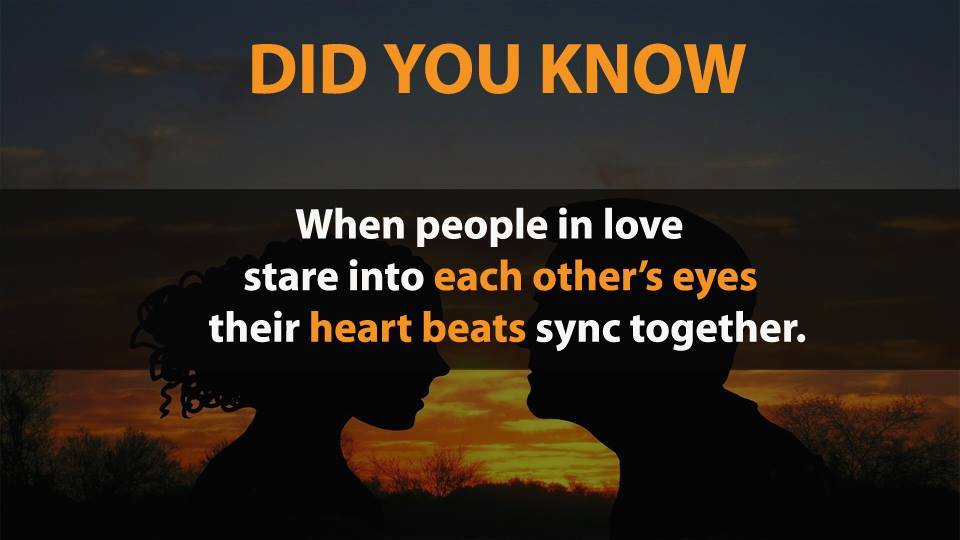 Picture 14 of Did you know 17 funny facts that the whole world knows about?