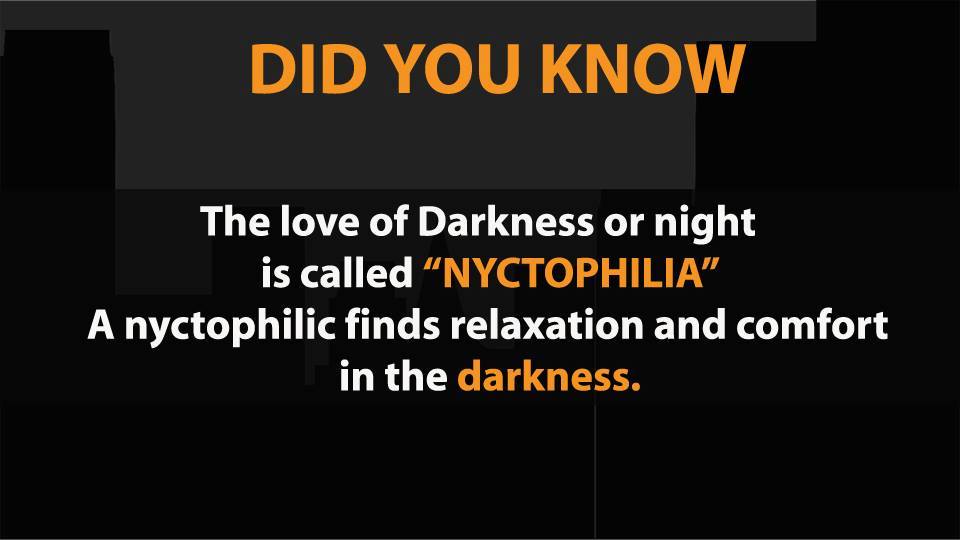 Picture 15 of Did you know 17 funny facts that the whole world knows about?