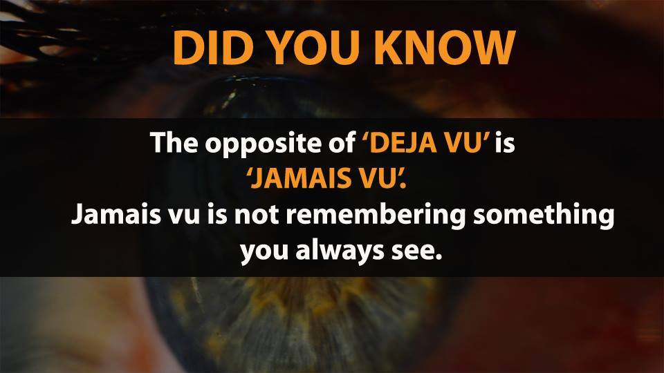 Picture 4 of Did you know 17 funny facts that the whole world knows about?