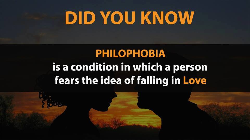 Picture 5 of Did you know 17 funny facts that the whole world knows about?