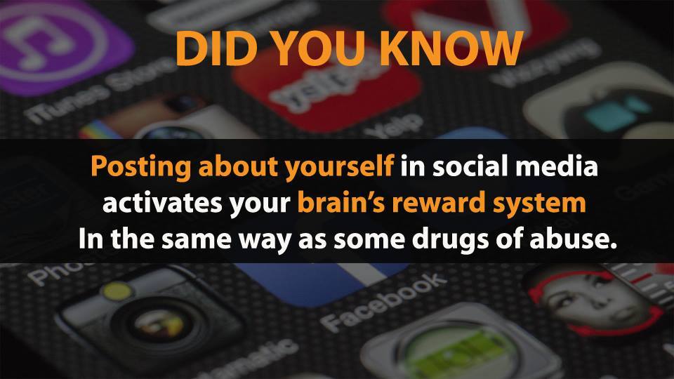 Picture 7 of Did you know 17 funny facts that the whole world knows about?