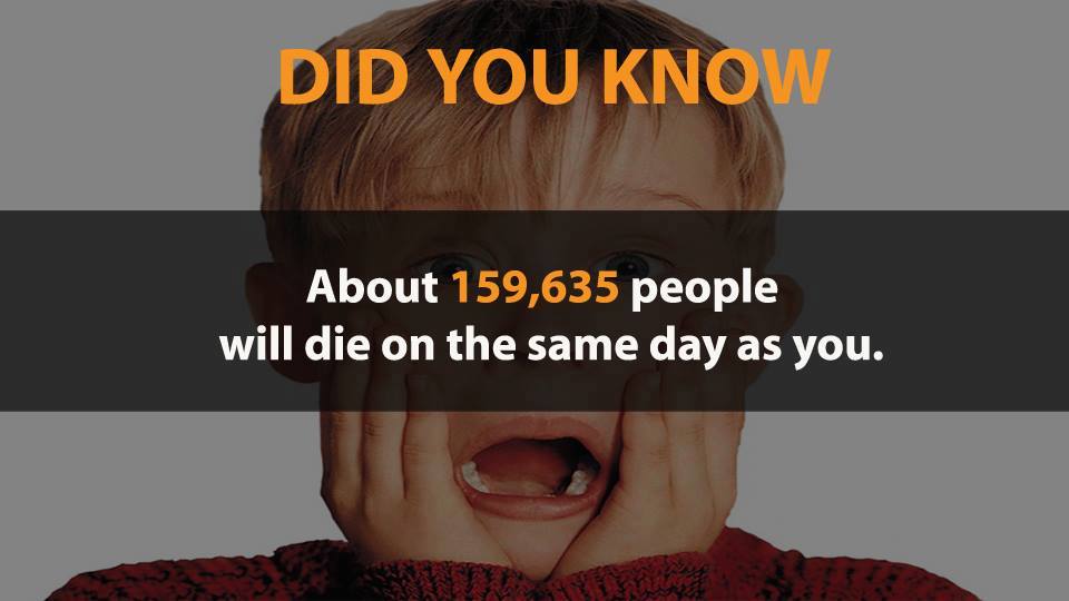 Picture 9 of Did you know 17 funny facts that the whole world knows about?