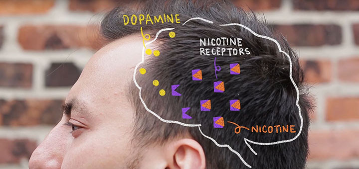 Picture 3 of Did you know: the most toxic thing in cigarettes is not nicotine