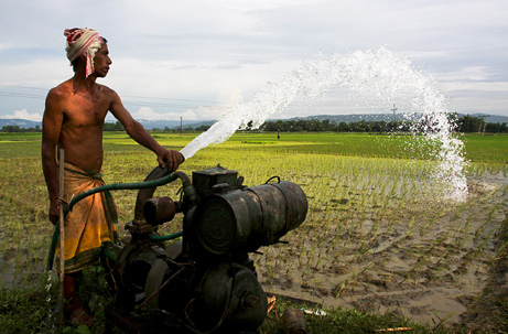 Picture 1 of Diets change the demand for freshwater in Asia
