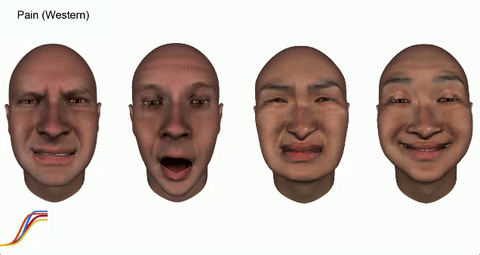 Picture 3 of Differences in facial expressions at pain and ... orgasm between cultures