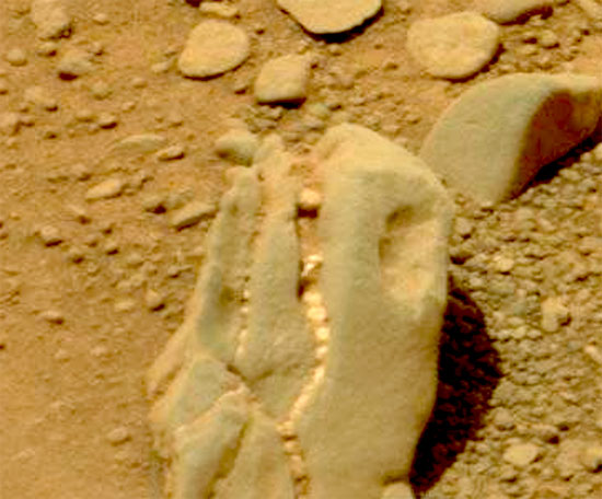 Picture 1 of Dinosaur skull body on Mars