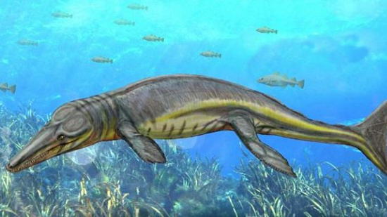 Picture 1 of Dinosaurs appear to resemble dolphins
