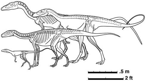 Picture 2 of Dinosaurs dominate the earth slowly